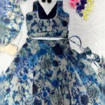 Enchanted Jimmy Organza Silk Lehenga Set