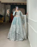 Celestial Radiance Lehenga Choli Set: Embrace Tradition with Elegance