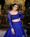 Ethereal Butterfly Net Lehenga Choli Set