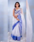 Exclusive Solid Naylon Organza Saree with Pure Zari Weaving