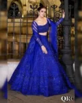 Ethereal Butterfly Net Lehenga Choli Set