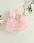 Elegant Heavy Net Dress for Girls
