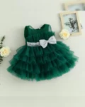 Elegant Heavy Net Dress for Girls