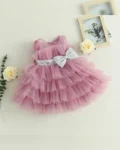 Elegant Heavy Net Dress for Girls