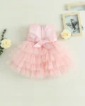 Elegant Heavy Net Dress for Girls