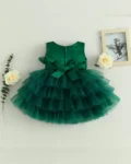 Elegant Heavy Net Dress for Girls
