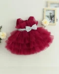 Elegant Heavy Net Dress for Girls