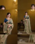 Premium Designer Festive Wear Saree - Mahotsav Mohmanthan 25000 Rajasvi Series