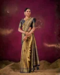 Banarasi Katan Silk Saree with Kanchi Pattu Pattern Border & Pallu