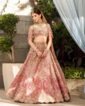 Designer Slub Silk Embroidered Lehenga Choli with Butterfly Net Dupatta
