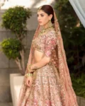 Designer Slub Silk Embroidered Lehenga Choli with Butterfly Net Dupatta
