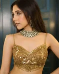 Designer Butterfly Net Embroidered Lehenga Choli with Sequins Work