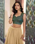 Zariya Muse Fendi Lehenga Choli with Embroidered Blouse